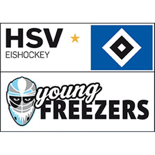 Hamburger SV Young Freezers U16