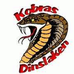 Dinslakener Kobras 1b